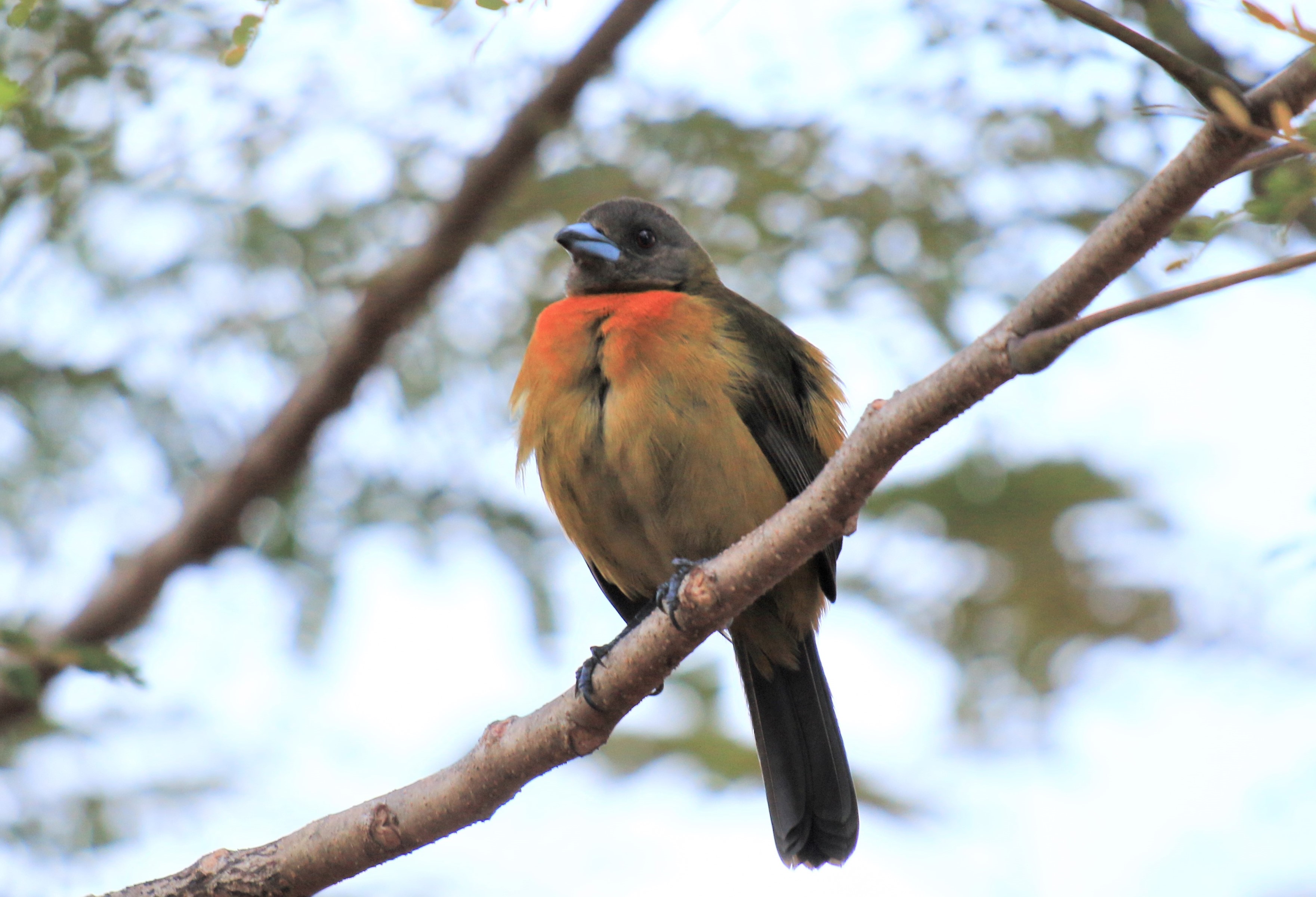 Costa Rica